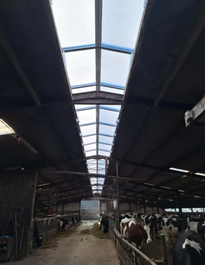 renovatie-lichtstraten-lemmelerveld-5